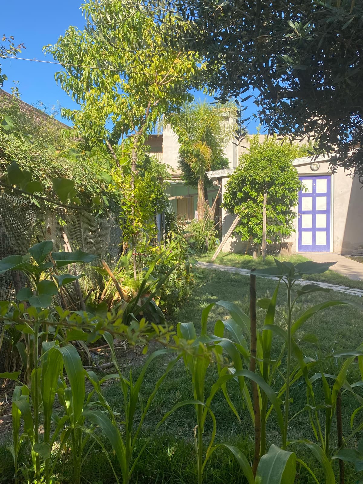 Imagen de la propiedad 3