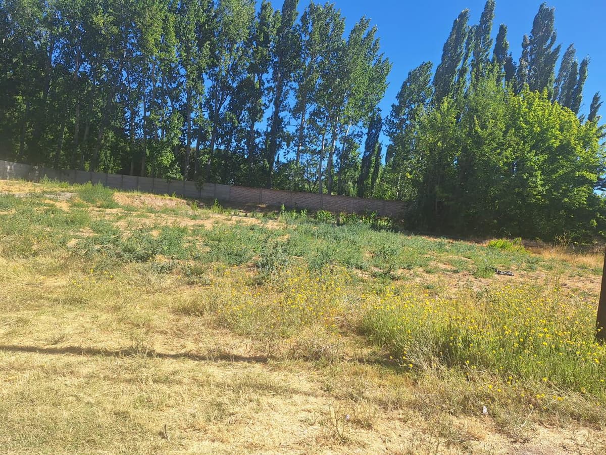 Imagen de la propiedad 2