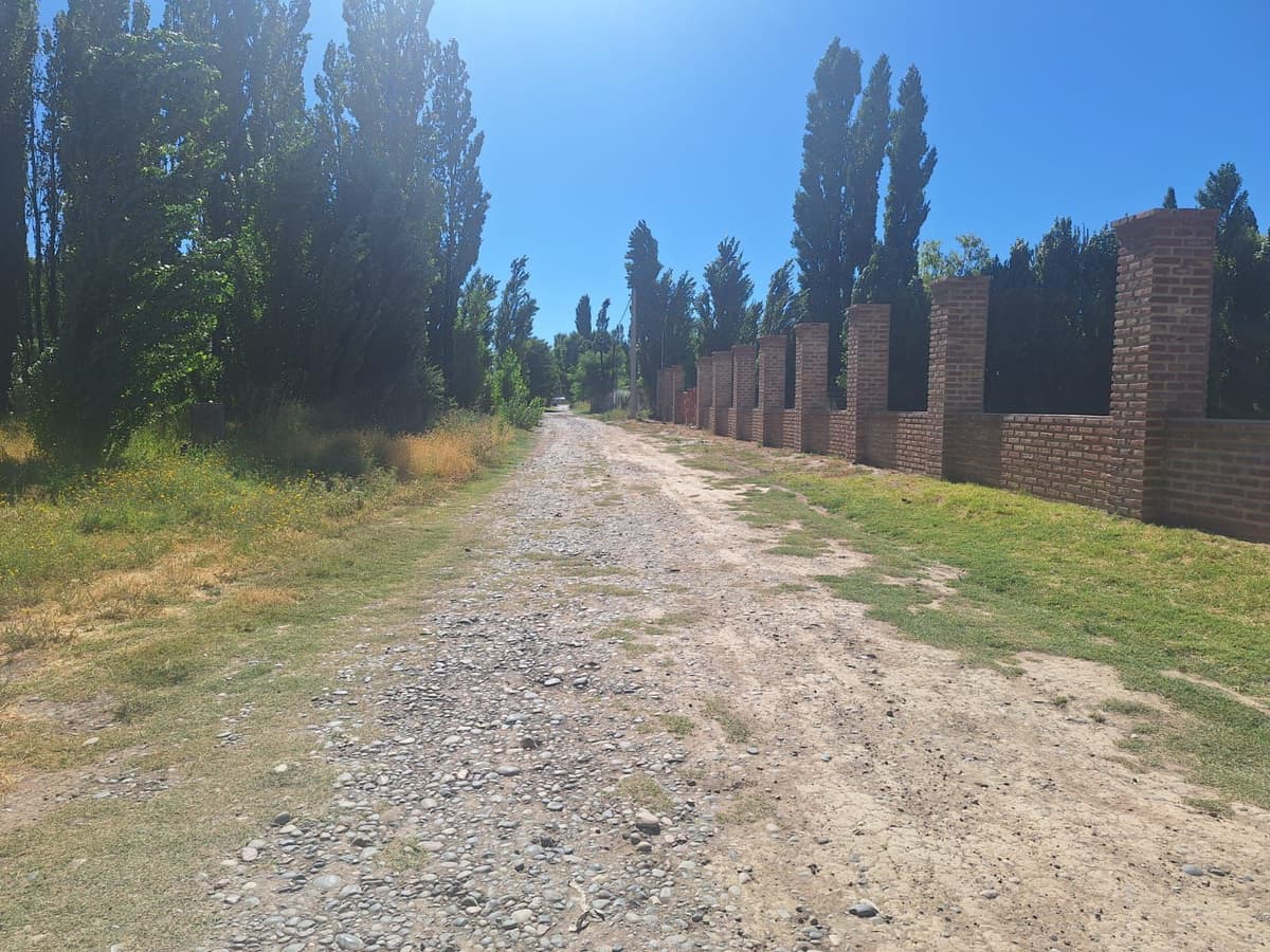 Imagen de la propiedad 3