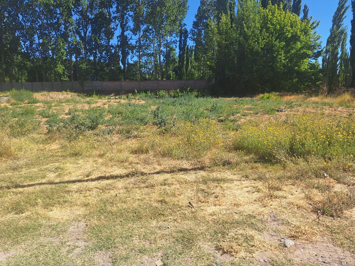 Imagen de la propiedad 4