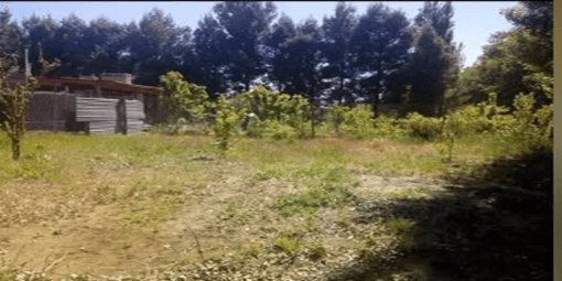 Imagen de la propiedad 4