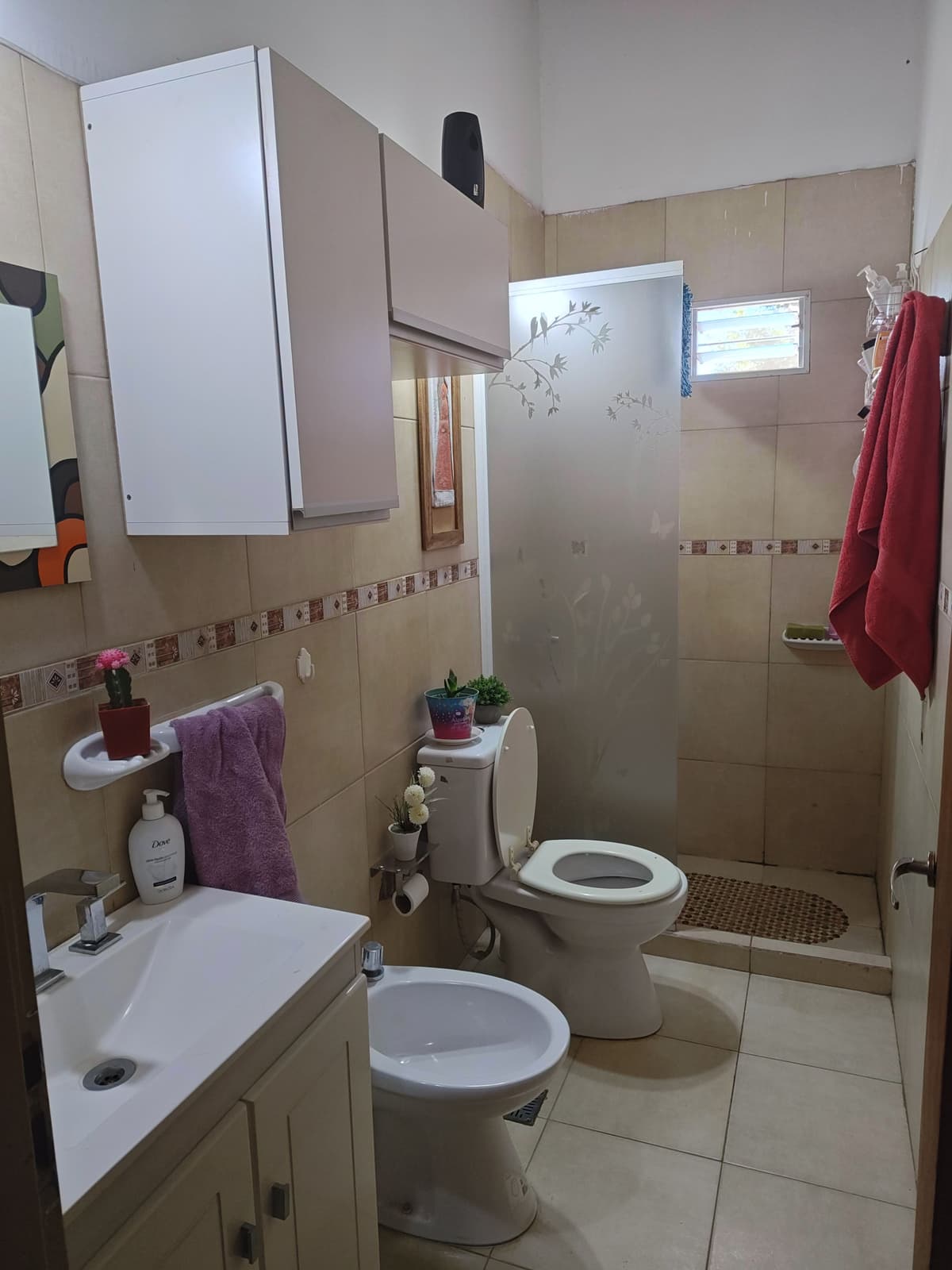 Imagen de la propiedad 4