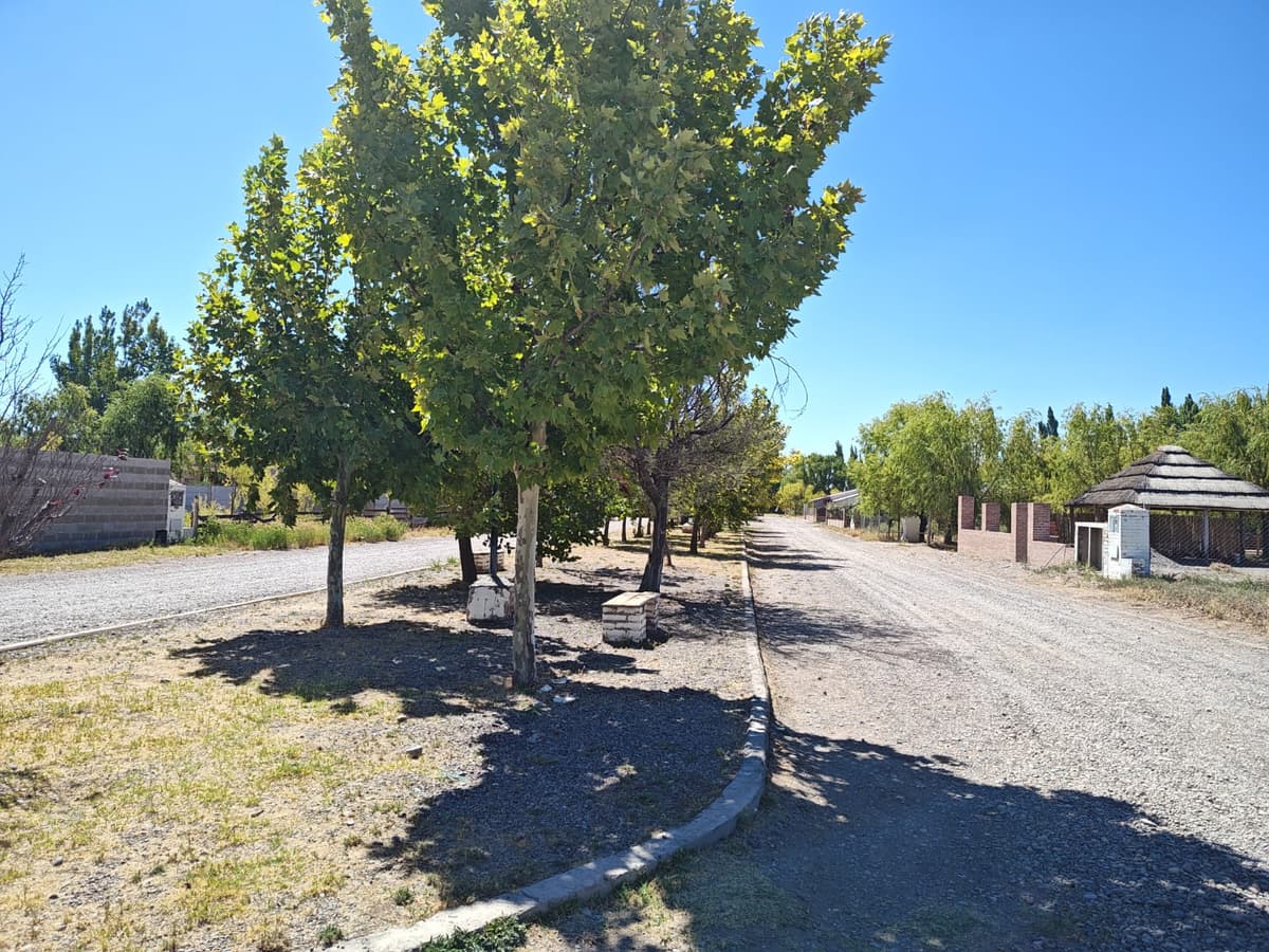 Imagen de la propiedad 12