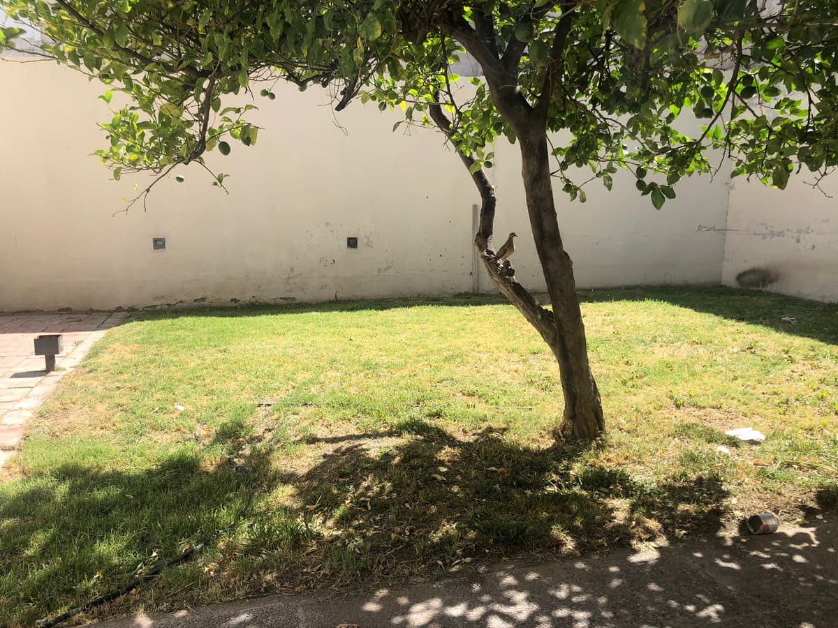 Imagen de la propiedad 8